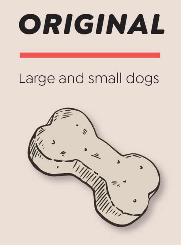 dr-claude-brochure-e-version-01